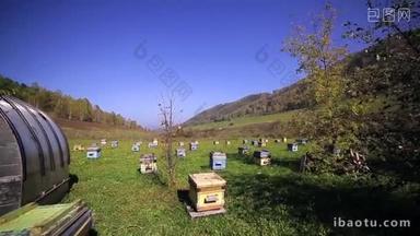 养蜂场、 蜜蜂、 多蜂巢